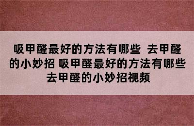 吸甲醛最好的方法有哪些  去甲醛的小妙招 吸甲醛最好的方法有哪些 去甲醛的小妙招视频